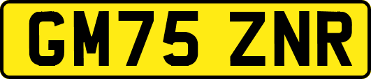 GM75ZNR