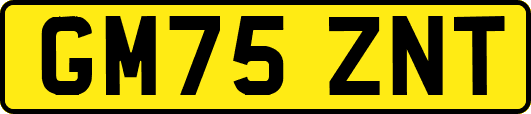 GM75ZNT