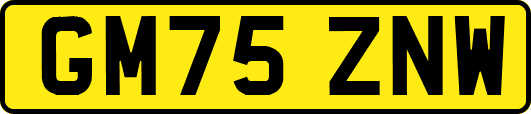 GM75ZNW