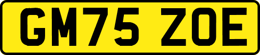 GM75ZOE