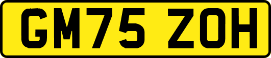 GM75ZOH
