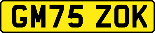 GM75ZOK