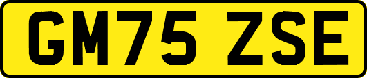 GM75ZSE