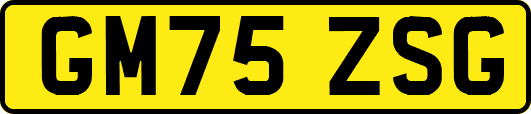 GM75ZSG