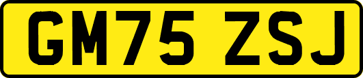 GM75ZSJ