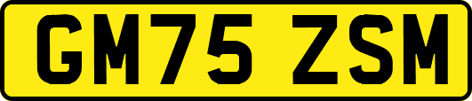 GM75ZSM