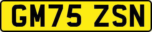 GM75ZSN