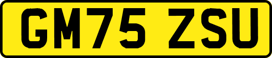 GM75ZSU