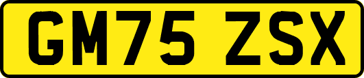 GM75ZSX