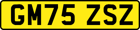 GM75ZSZ