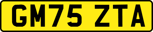 GM75ZTA