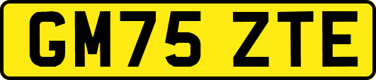GM75ZTE
