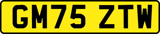 GM75ZTW