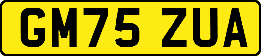 GM75ZUA