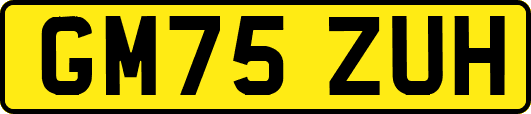 GM75ZUH