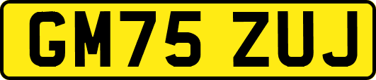 GM75ZUJ