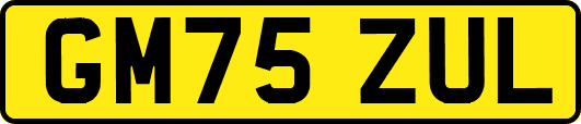 GM75ZUL