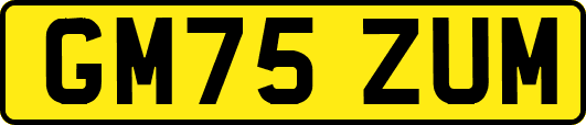 GM75ZUM