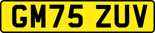 GM75ZUV