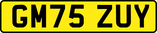 GM75ZUY