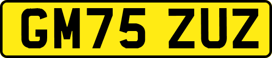 GM75ZUZ