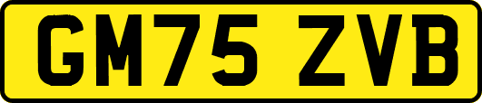 GM75ZVB