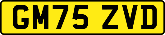 GM75ZVD