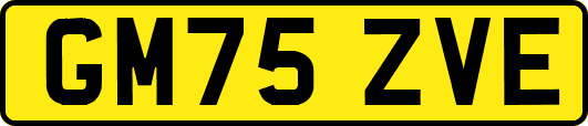 GM75ZVE