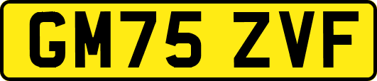 GM75ZVF