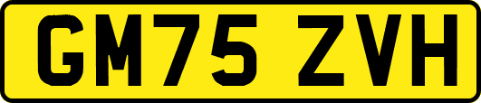 GM75ZVH