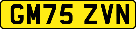 GM75ZVN
