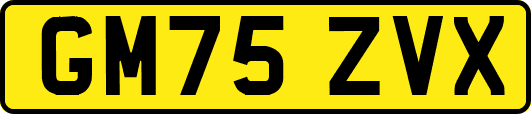 GM75ZVX