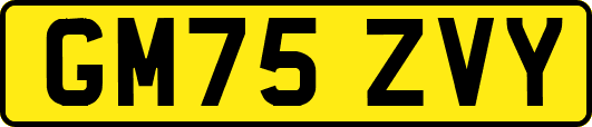 GM75ZVY