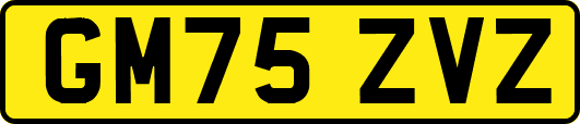 GM75ZVZ