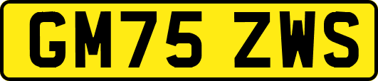GM75ZWS