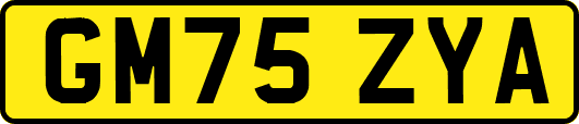 GM75ZYA