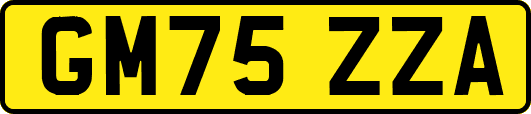 GM75ZZA