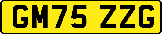 GM75ZZG