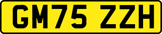 GM75ZZH