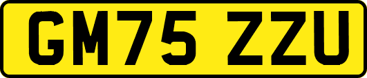 GM75ZZU