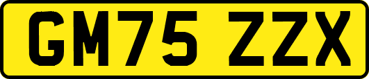 GM75ZZX