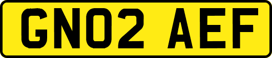GN02AEF