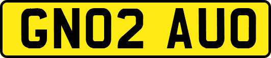 GN02AUO