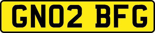 GN02BFG