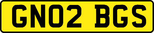 GN02BGS