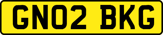GN02BKG