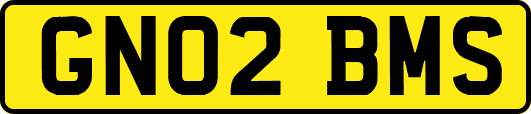 GN02BMS