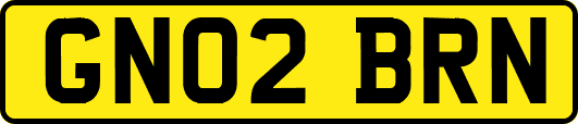 GN02BRN