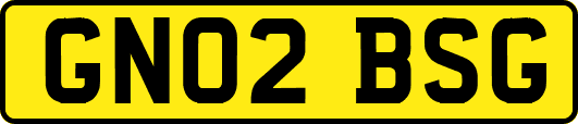 GN02BSG