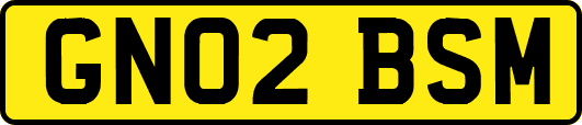 GN02BSM